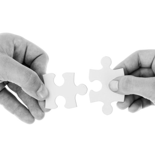hands, puzzle pieces, connect, connection, cooperation, holding, isolated, jigsaw, join, partnership, people, pieces, puzzle, teamwork, two, unity, monochrome, idea, concept, black and white, hands, hands, connect, connect, connection, connection, connection, cooperation, cooperation, partnership, partnership, partnership, people, people, people, people, puzzle, puzzle, puzzle, puzzle, puzzle, teamwork, teamwork, teamwork, teamwork, two, idea, idea, idea