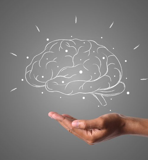 brain, hand, grey, gray brain, brain, brain, brain, brain, brain