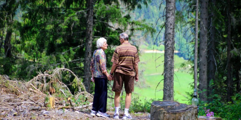 An elderly couple holding hands strolls through a serene forest trail, enjoying nature.